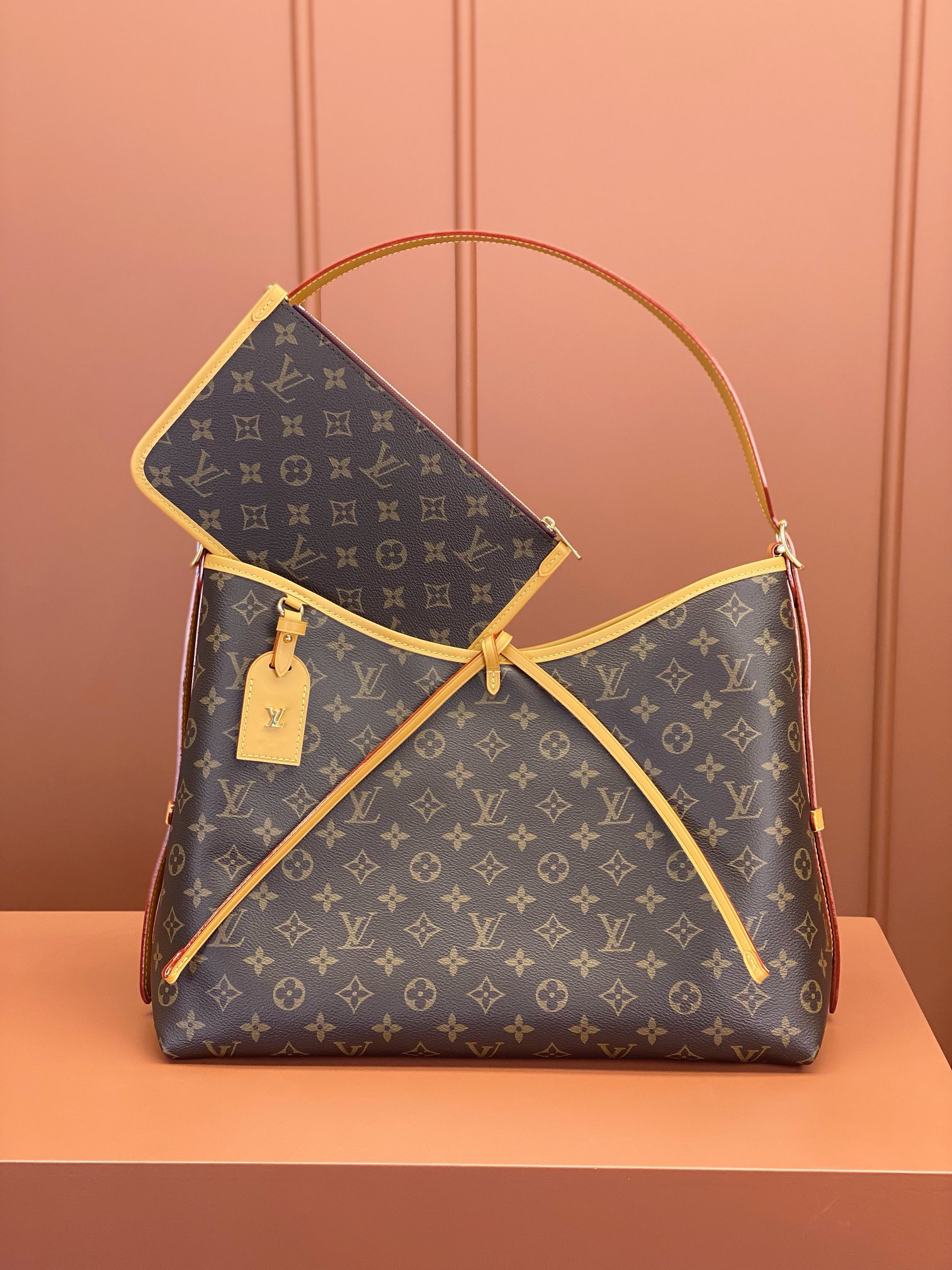 CarryAll-Medium size